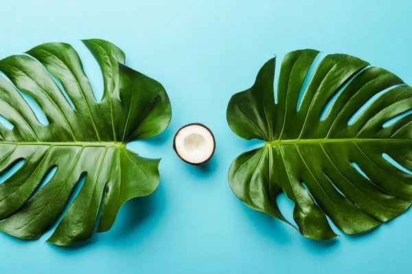 Vista superior de hojas de palma verde y mitad de coco sobre fondo azul - foto de stock