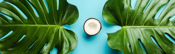 Vue du dessus des feuilles de palmier vert et de la moitié de noix de coco sur fond bleu, vue panoramique — Photo de stock