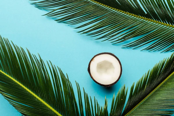 Top view of green palm leaves and coconut half on blue background — Stock Photo