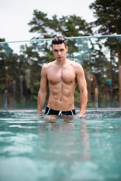 Enfoque selectivo del hombre húmedo y muscular de pie en la piscina - foto de stock