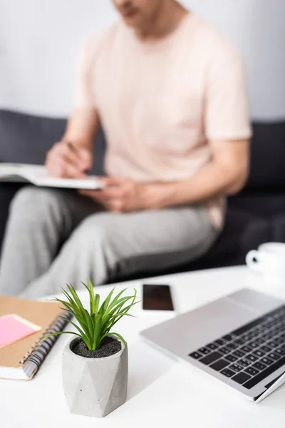 Focus selettivo della pianta vicino gadget su tavolino e scrittura freelance su notebook a casa, guadagnando concetto online — Foto stock