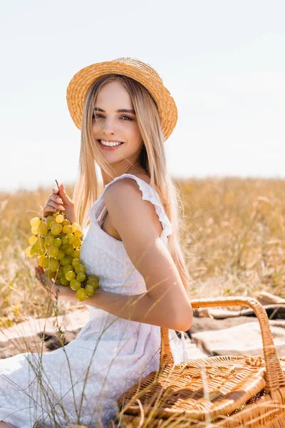 Enfoque selectivo de la mujer sensual en vestido blanco y sombrero de paja sosteniendo racimo de uvas maduras mientras descansa en el campo - foto de stock