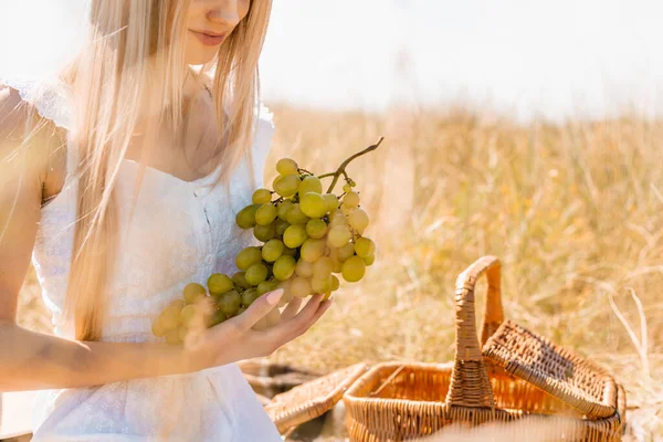 Partial view of blonde woman in white dress holding bunch of ripe grapes near wicker basket — Stock Photo