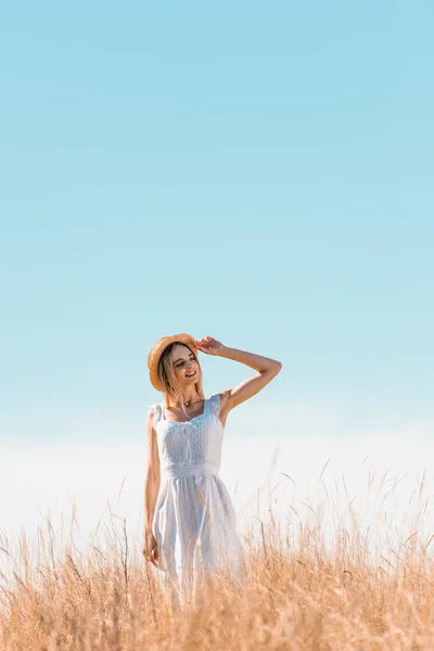 Mujer joven en vestido blanco de pie en la colina cubierta de hierba, tocando sombrero de paja y mirando hacia otro lado contra el cielo azul - foto de stock