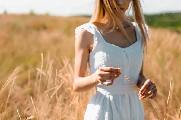 Visão parcial da jovem mulher de vestido branco segurando espigueta enquanto está em pé no prado gramado — Fotografia de Stock