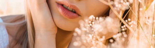 Vista parcial de la joven mujer tocando la cara cerca de flores silvestres, plano panorámico - foto de stock