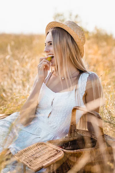 Selective focus of blonde woman in white dress and straw hat eating ripe grape near wicker basket in meadow — Stock Photo
