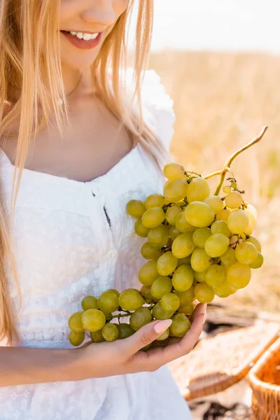 Vista cortada de jovem mulher em vestido branco segurando cacho de uvas maduras no campo — Fotografia de Stock