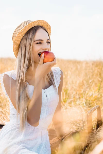 Foco seletivo de mulher loira em chapéu de palha comendo maçã madura e olhando para longe em campo — Fotografia de Stock