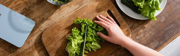 Panoramic shot of woman cutting fresh lettuce on chopping board — Stock Photo