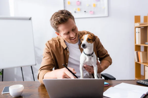 Молодий бізнесмен вказує пальцем на ноутбук під час роботи з джек-рос-тер'єр собакою в офісі — стокове фото