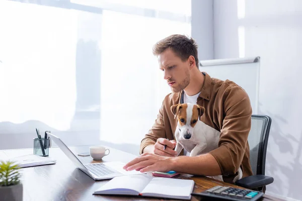 Homem de negócios concentrado usando laptop enquanto trabalhava com Jack Russell terrier dog no escritório — Fotografia de Stock