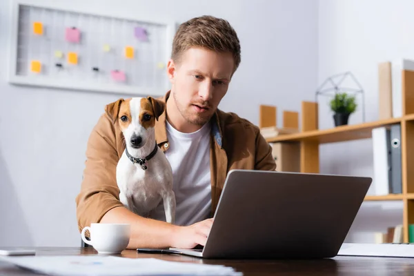 Concentrado hombre de negocios trabajando en el ordenador portátil cerca de jack russell terrier perro y taza de café en el escritorio - foto de stock