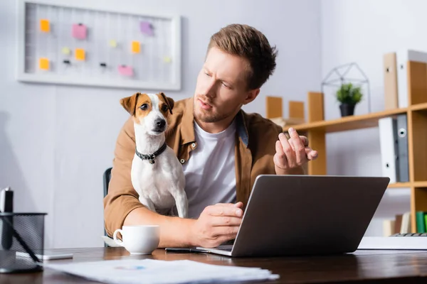 Homme d'affaires sérieux assis sur le lieu de travail près d'un ordinateur portable et regardant Jack Russell Terrier chien — Photo de stock