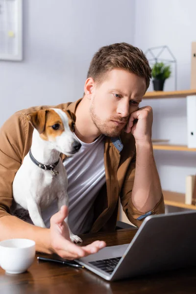 Foyer sélectif de réfléchi homme d'affaires regardant ordinateur portable près de Jack Russell Terrier chien — Photo de stock