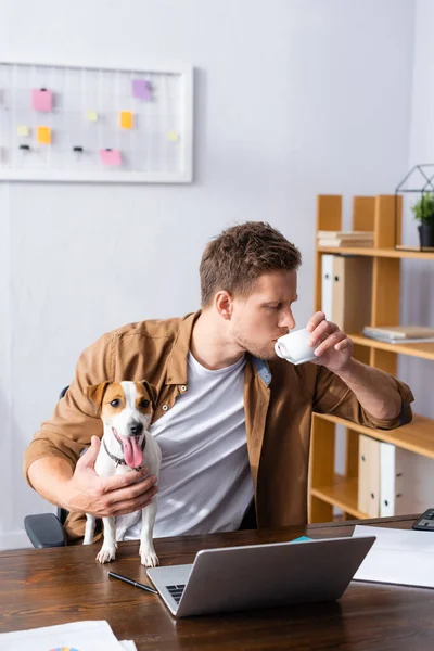 Молодий бізнесмен п'є каву, сидячи на робочому місці з джек-рос-тер'єр собакою — стокове фото