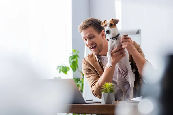 Selective focus of excited businessman holding jack russell terrier dog while sitting at workplace — Stock Photo