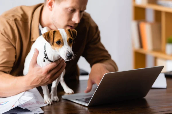 Enfoque selectivo de joven hombre de negocios con Jack Russell terrier perro trabajando en el ordenador portátil en la oficina - foto de stock