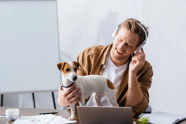 Hombre de negocios en ropa casual y auriculares inalámbricos cerca de jack russell terrier perro en el lugar de trabajo - foto de stock