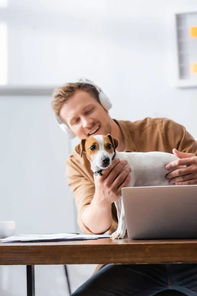Joven hombre de negocios en auriculares inalámbricos tocando gato russell terrier perro mientras está sentado en el lugar de trabajo - foto de stock