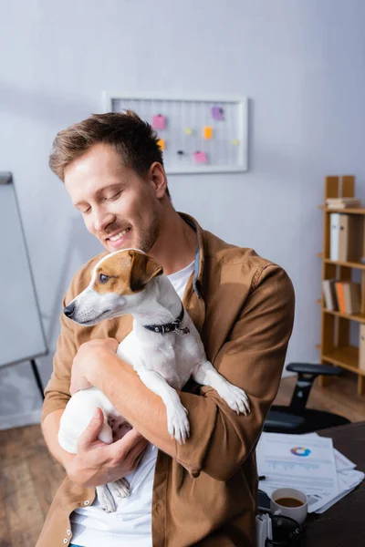 Young businessman sitting on desk in office and holding jack russell terrier dog — Stock Photo