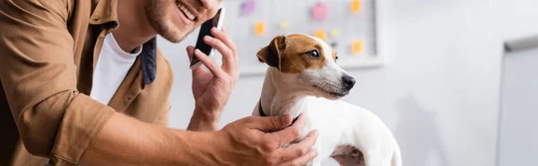 Vue recadrée de l'homme d'affaires touchant jack russell terrier chien tout en parlant sur téléphone mobile dans le bureau — Photo de stock