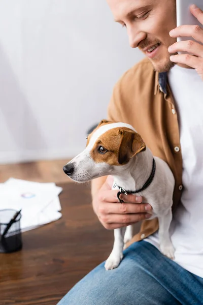 Избирательный фокус молодого бизнесмена с собакой-терьером Джеком Расселом, сидящей на рабочем столе и разговаривающей по мобильному телефону — стоковое фото