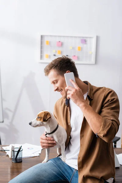 Businessman sitting on desk with jack russell terrier dog and talking on mobile phone — Stock Photo