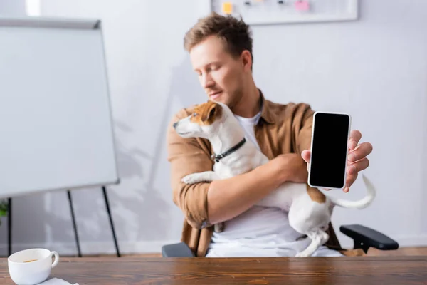 Selective focus of businessman sitting at workplace with jack russell terrier dog and showing cellphone with blank screen — Stock Photo