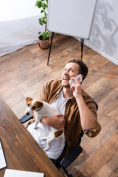 Високий кут зору бізнесмен говорить на смартфоні, тримаючи джек-російського тер'єра собаку — стокове фото