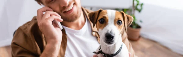 Vista ritagliata di uomo d'affari con jack russell terrier cane che parla su smartphone in ufficio, immagine orizzontale — Foto stock