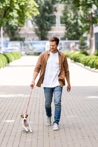 Jovem homem em roupas casuais andando com jack russell terrier cão ao longo da cidade beco — Fotografia de Stock