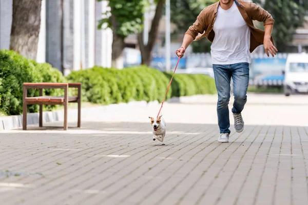 Vista parcial del hombre con gato russell terrier perro con correa corriendo a lo largo de pasarela urbana - foto de stock