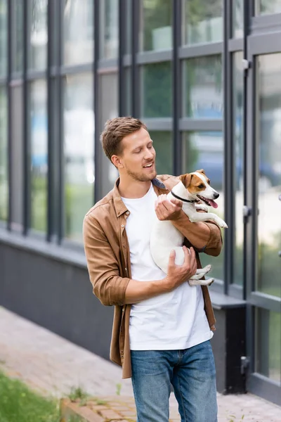 Jeune homme en vêtements décontractés debout près du bâtiment avec façade en verre et tenant Jack Russell Terrier chien — Photo de stock