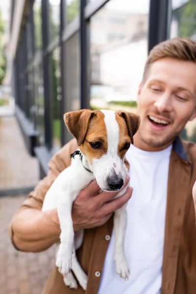 Enfoque selectivo de hombre joven sosteniendo gato russell terrier perro en la calle - foto de stock