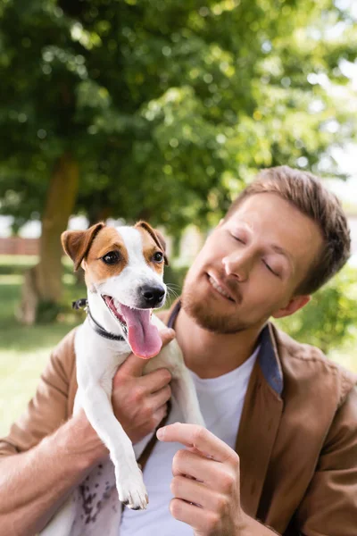 Young man holding white jack russell terrier dog with brown spots on head in park — Stock Photo