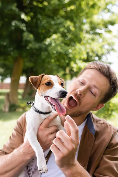 Excitado hombre con boca abierta tocando la lengua de jack russell terrier perro en parque - foto de stock