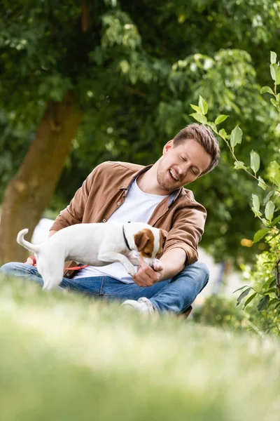Selective focus of young man playing with jack russell terrier dog while sitting on green grass — Stock Photo