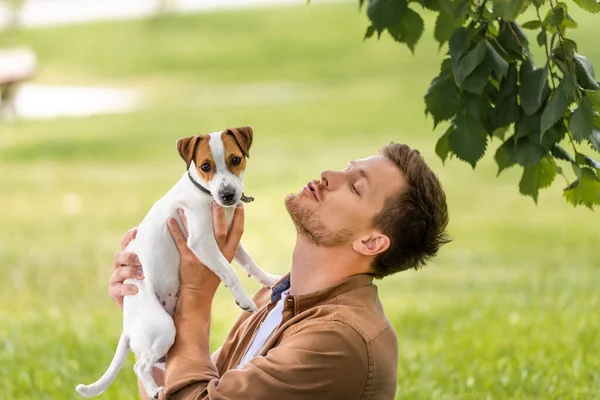 Hombre joven sosteniendo gato blanco russell terrier perro con manchas marrones en la cabeza cerca de la rama del árbol - foto de stock