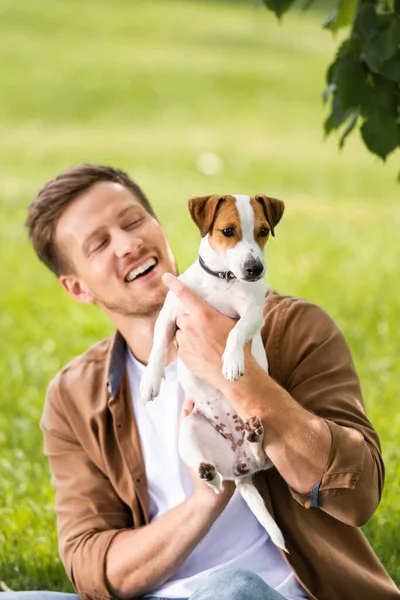 Young man in brown shirt holding white jack russell terrier dog with spots on head — Stock Photo