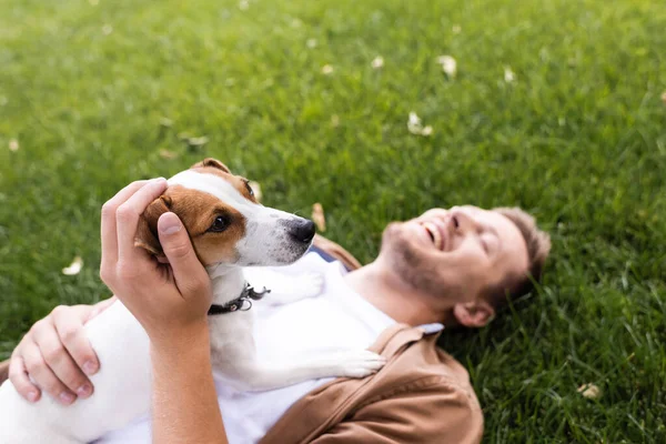 Foco seletivo do homem deitado com Jack Russell cão terrier na grama verde com olhos fechados — Fotografia de Stock