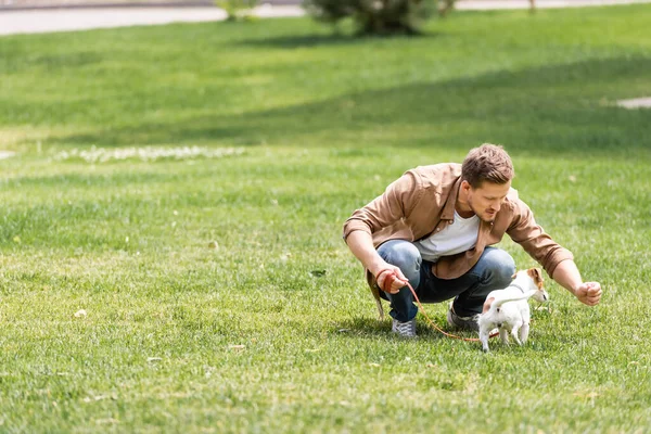 Enfoque selectivo del joven jugando con Jack Russell Terrier en el parque - foto de stock