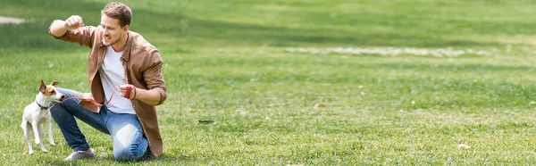 Colpo panoramico di uomo formazione jack russell terrier nel parco — Foto stock