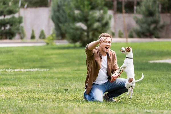 Enfoque selectivo del hombre emocionado jugando con Jack Russell Terrier en el parque - foto de stock