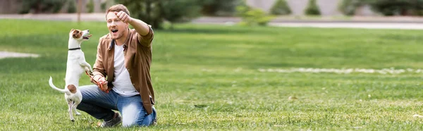 Horizontal image of excited man playing with jack russell terrier in park — Stock Photo