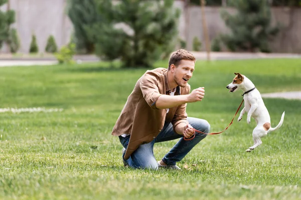 Enfoque selectivo del hombre emocionado mirando jack salto russell terrier en el parque - foto de stock