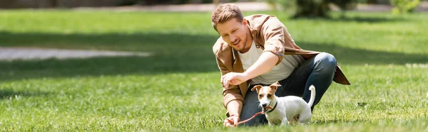 Colpo panoramico di uomo inginocchiato vicino jack russell terrier sul prato nel parco — Foto stock