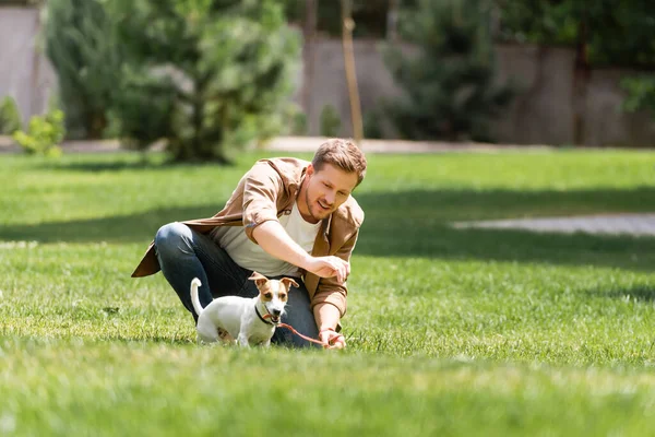 Enfoque selectivo del joven arrodillado cerca de jack russell terrier con correa en el parque - foto de stock
