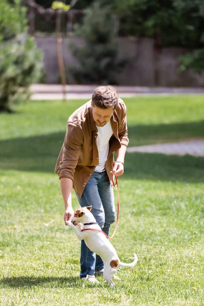 Enfoque selectivo del hombre jugando con Jack Russell Terrier con correa en el parque - foto de stock