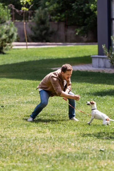 Foco seletivo de homem animado alimentando Jack Russell terrier no parque — Fotografia de Stock